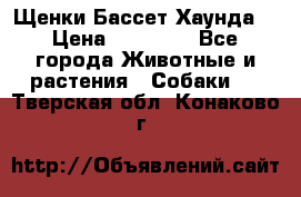 Щенки Бассет Хаунда  › Цена ­ 25 000 - Все города Животные и растения » Собаки   . Тверская обл.,Конаково г.